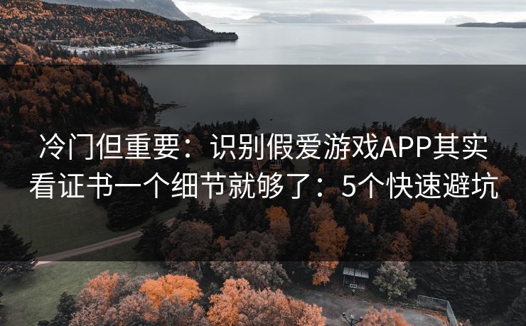 冷门但重要：识别假爱游戏APP其实看证书一个细节就够了：5个快速避坑