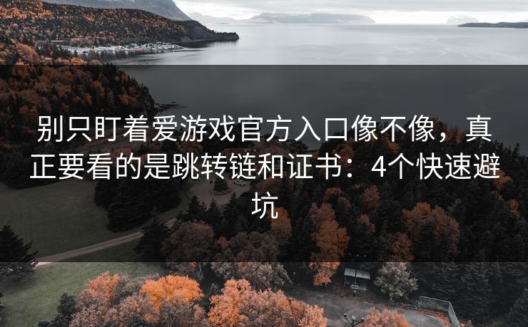 别只盯着爱游戏官方入口像不像，真正要看的是跳转链和证书：4个快速避坑