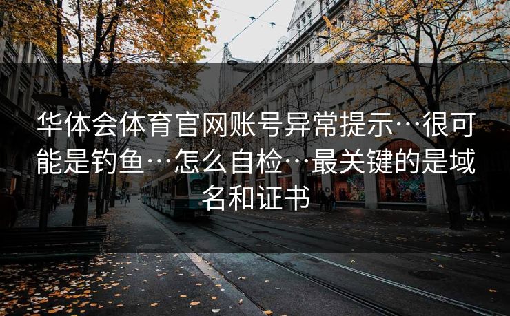华体会体育官网账号异常提示…很可能是钓鱼…怎么自检…最关键的是域名和证书